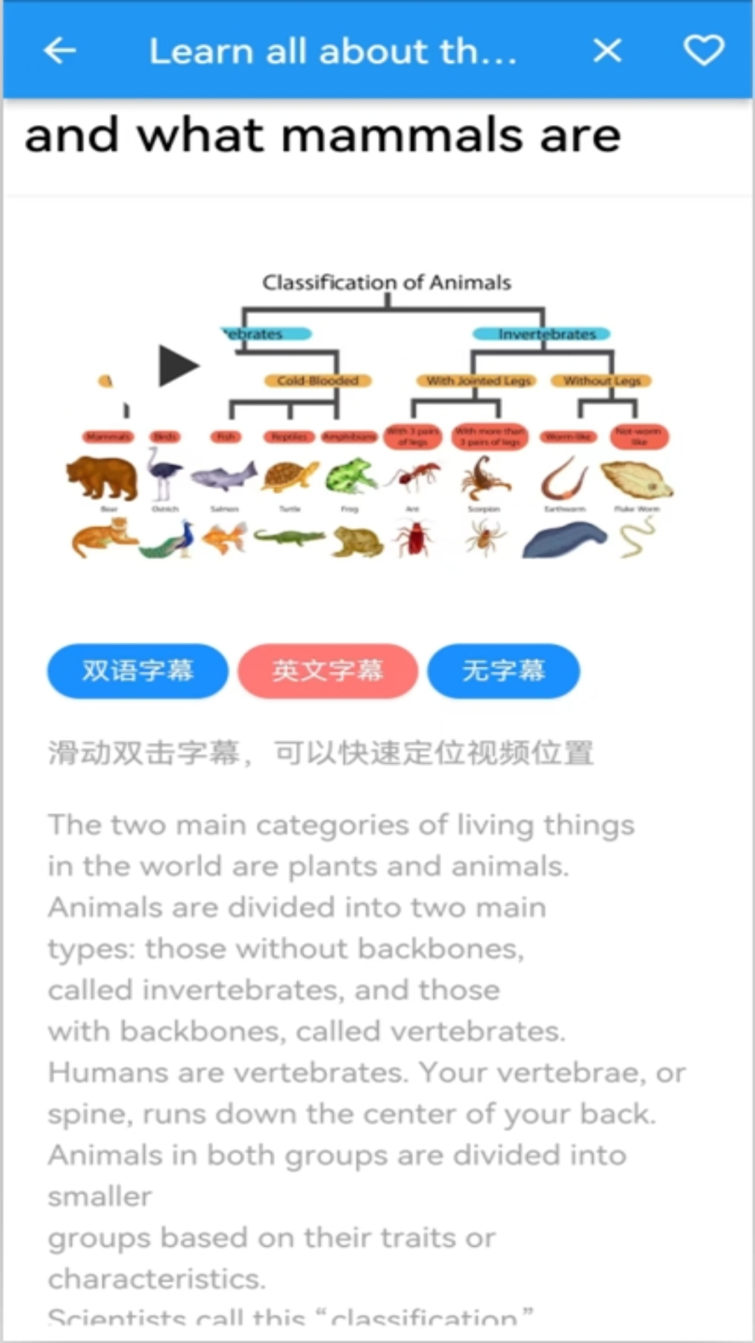 语小伴软件封面