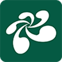 云屋小班课app