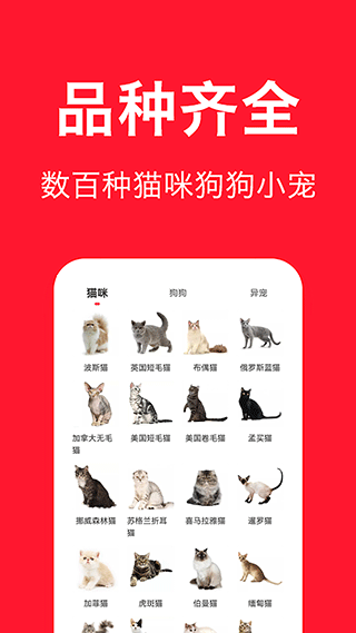 宠物宝app软件封面