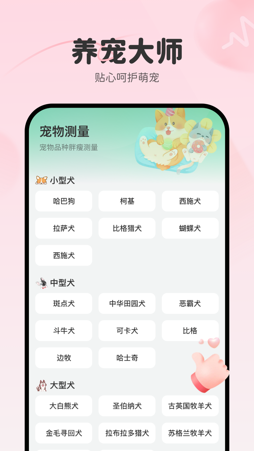 养宠大师软件封面