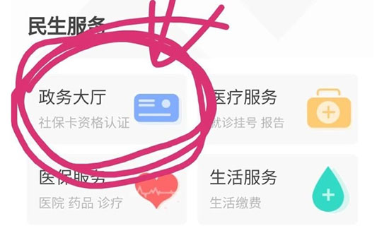 掌上民生政务大厅截图