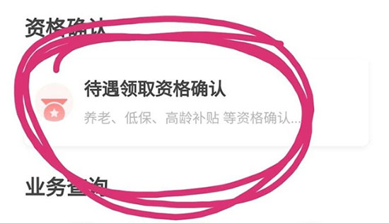 掌上民生资格确认截图