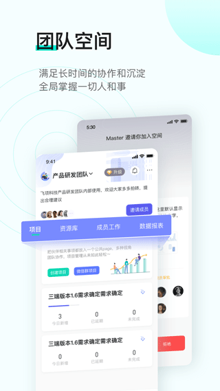 飞项app软件封面