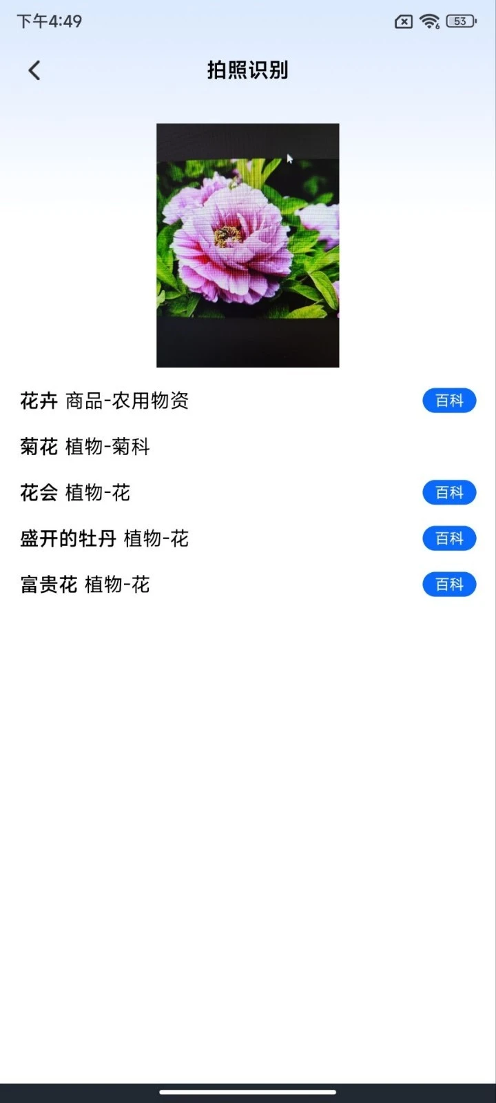 Al扫描王软件封面