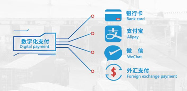 支付方式示例