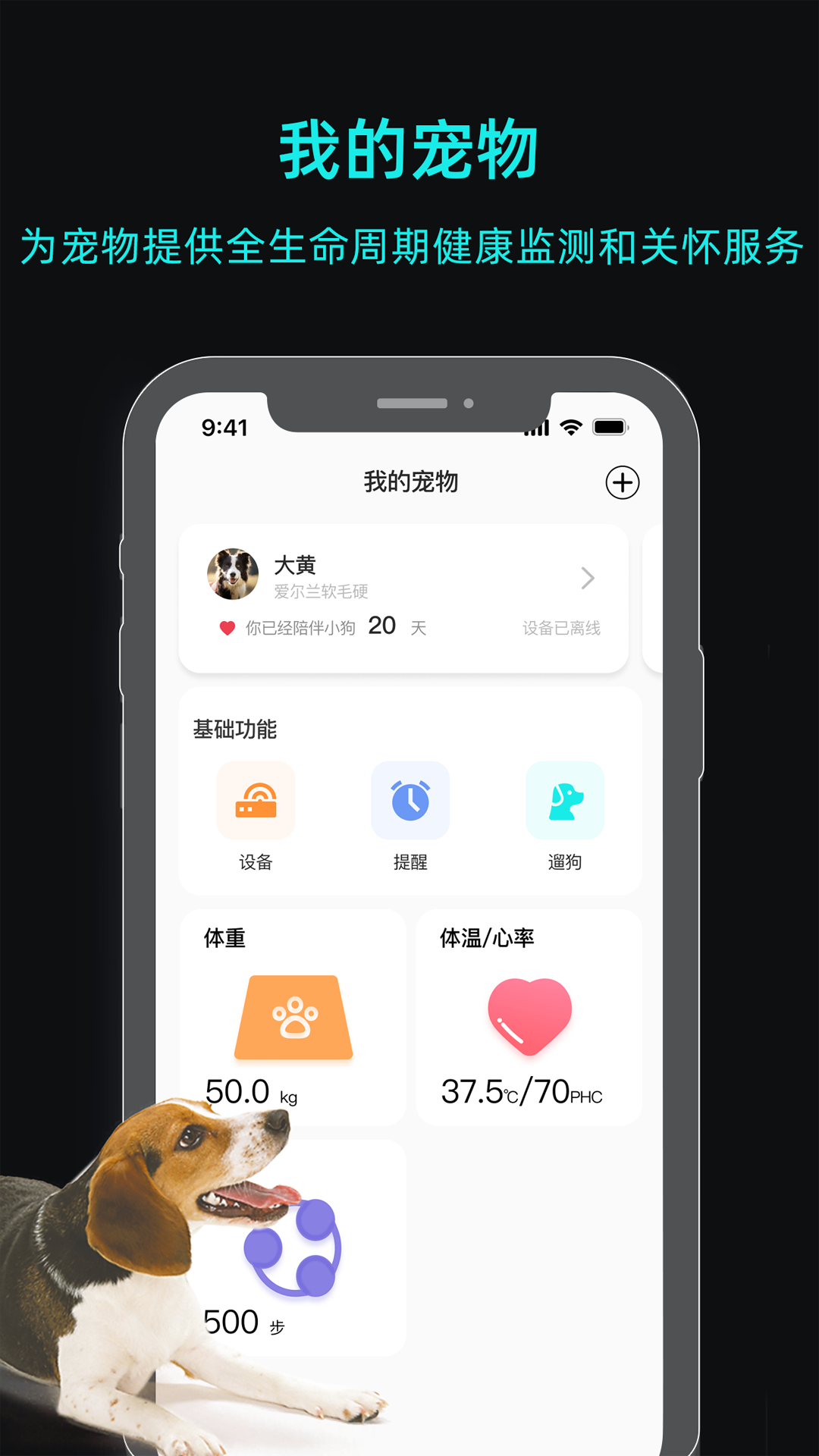 一聪小白软件封面