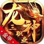 金甲龙神三职业