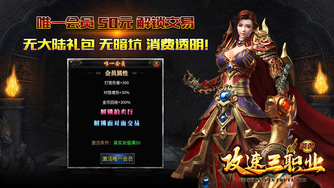 英勇攻速三职业软件封面