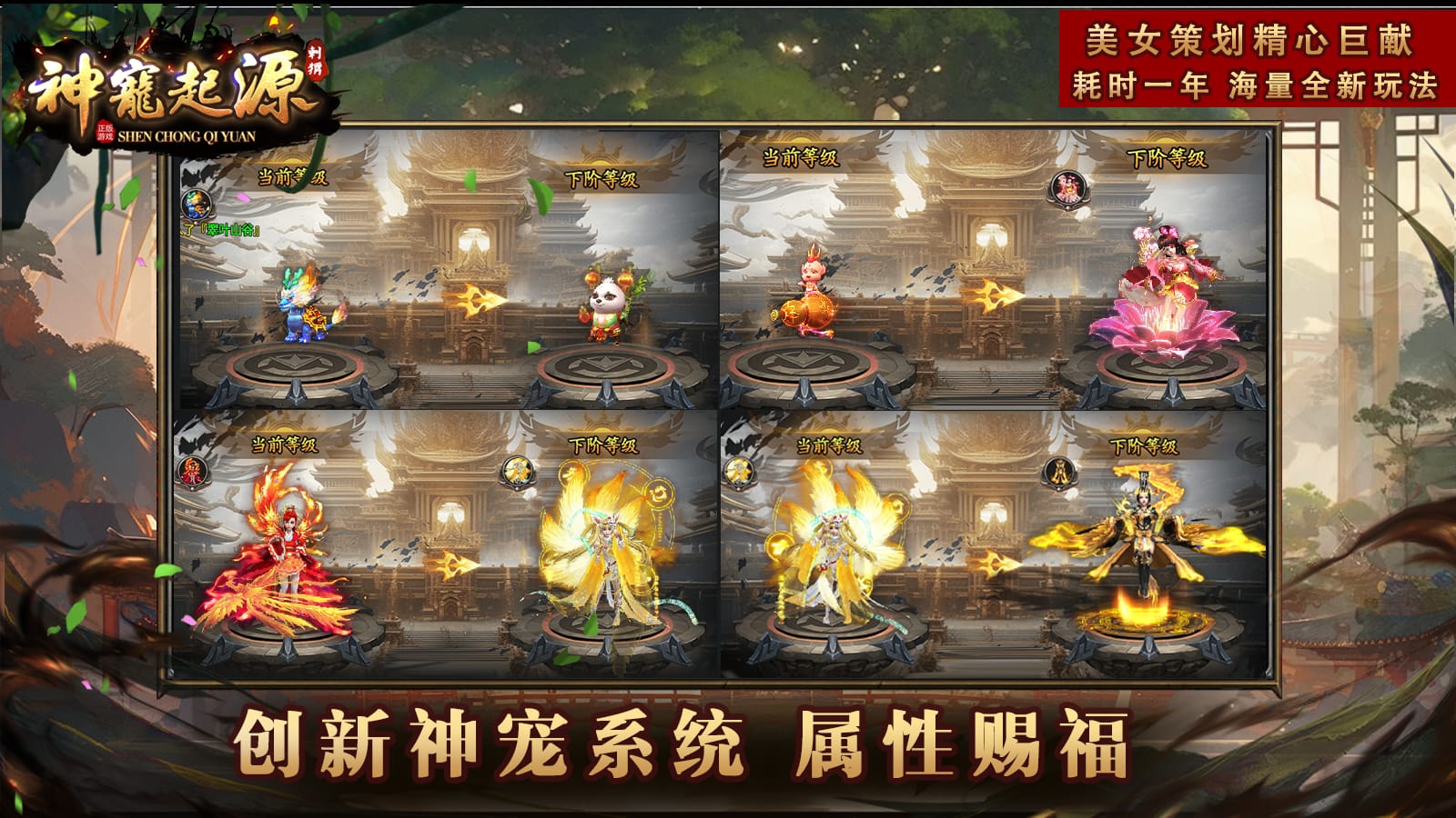 刺猬神宠起源软件封面