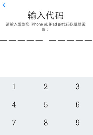 输入十位代码界面