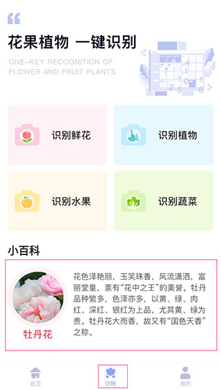 识物功能界面