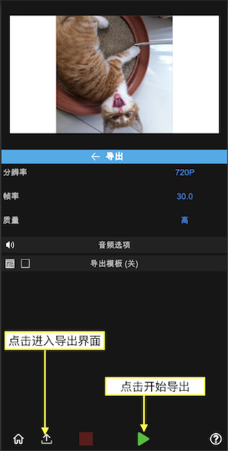 导出视频
