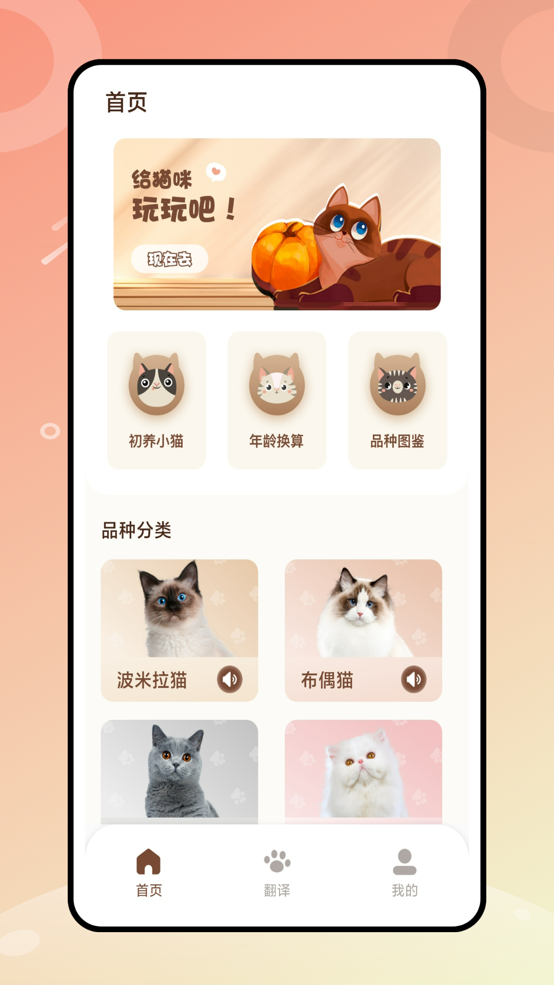 逗猫神器软件封面