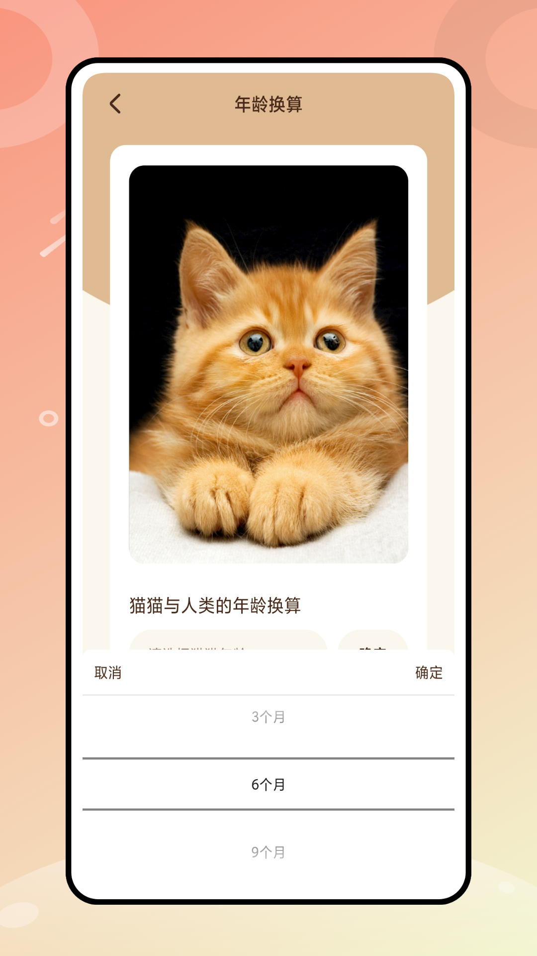 逗猫神器软件封面