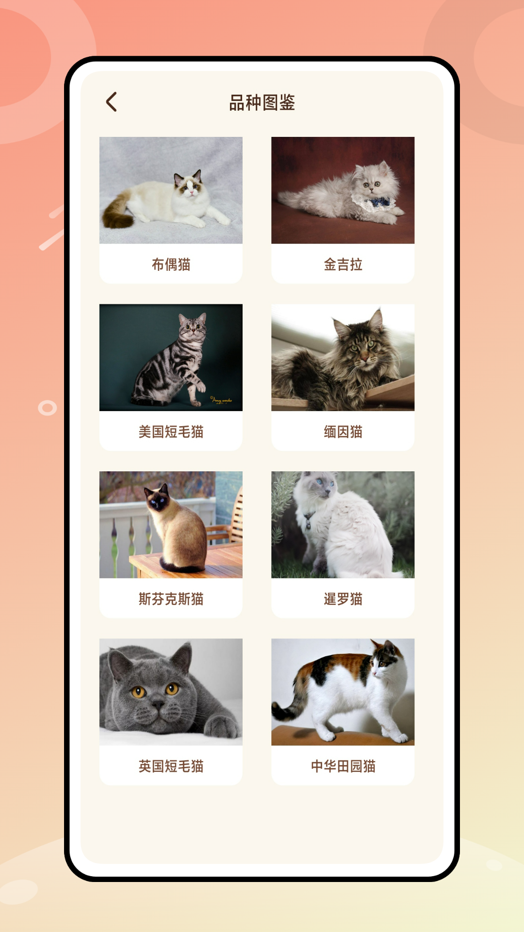 逗猫神器软件封面