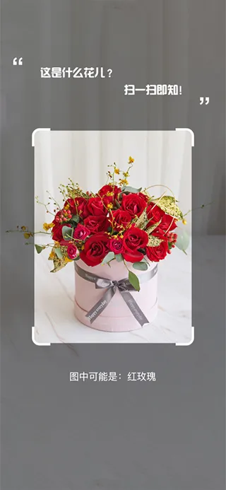 万能识图app软件封面