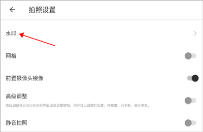 水印选项