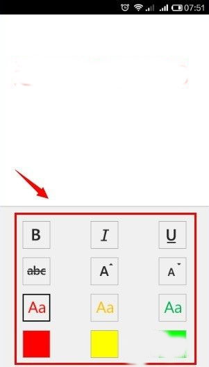 Text Formatting Options