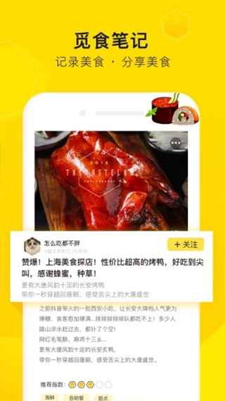 觅食蜂app软件封面