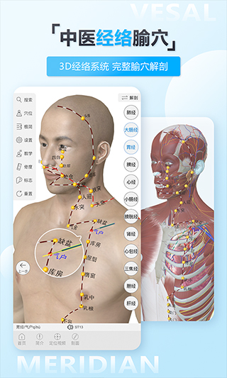 维萨里3D解剖app软件封面