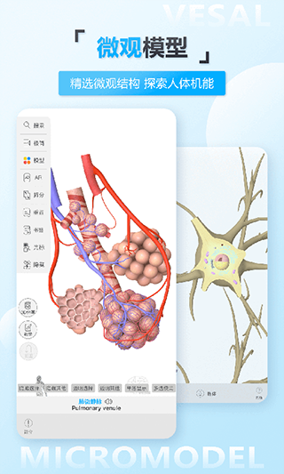 维萨里3D解剖app软件封面