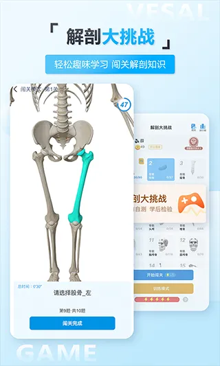 维萨里3D解剖app软件封面