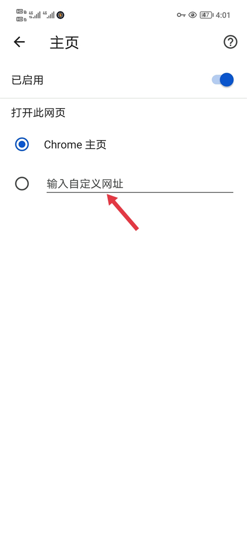 设置自定义主页