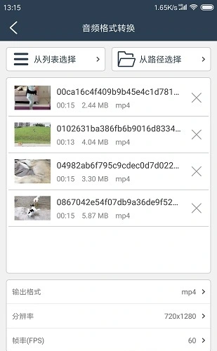 格式大师app软件封面