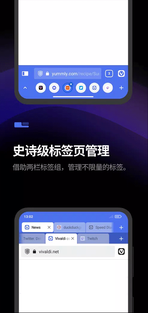 Vivaldi浏览器软件封面
