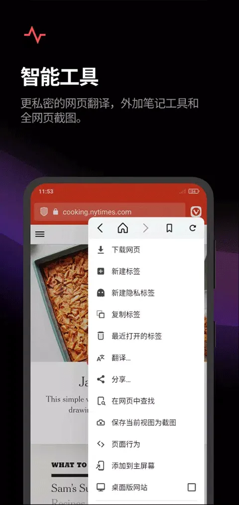 Vivaldi浏览器软件封面