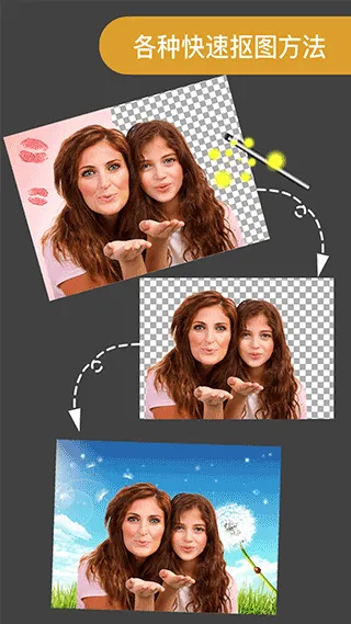 ProKnockout软件封面