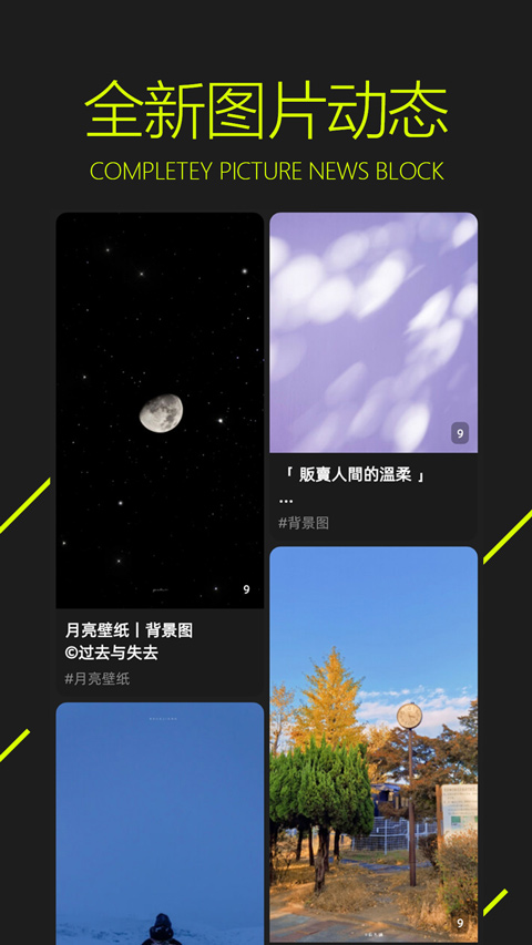 图凌壁纸app软件封面