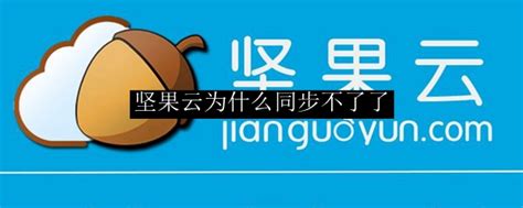 坚果云为什么服务器异常