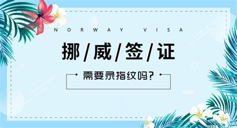 挪威签证选什么服务器好