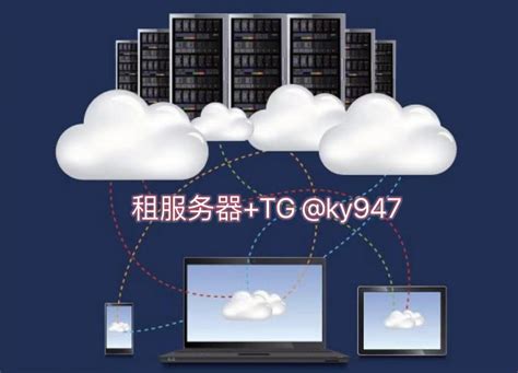 站群服务器应该看什么