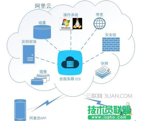 森林服务器需要什么系统