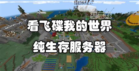 纯生存长期服务器是什么