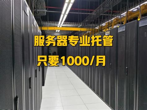 企业为什么选择服务器托管
