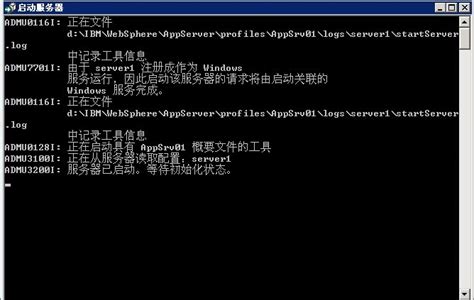 等待服务器是什么情况