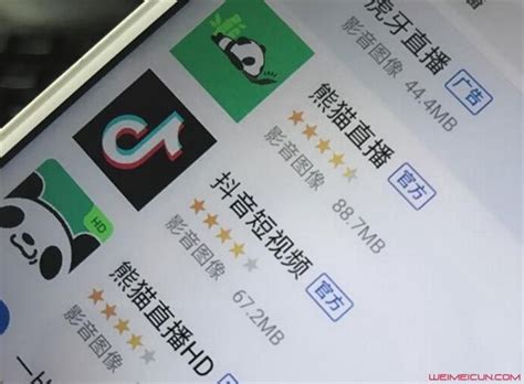 熊猫关闭服务器为什么啊