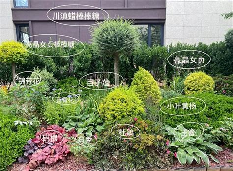 什么是免打理服务器配置