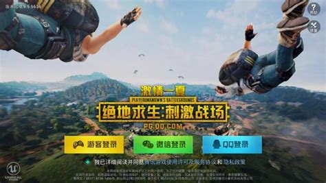 刺激战场什么是服务器