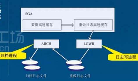什么叫数据搬运服务器设置