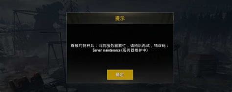 吃鸡终端服务器是什么