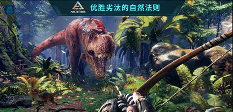 方舟手游什么是服务器端口