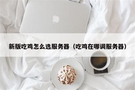 吃鸡什么服务器中国人少