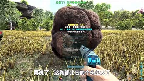 帕格纳西亚的服务器是什么