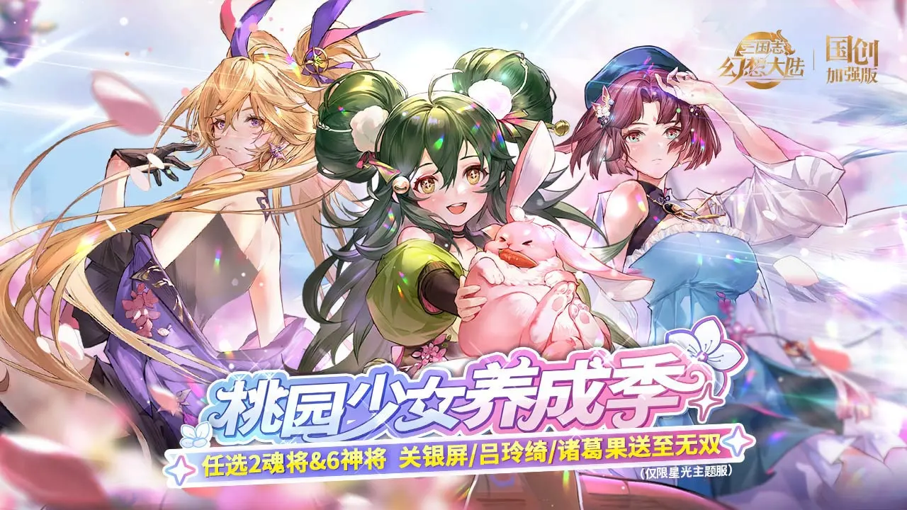 三国志幻想大陆软件封面