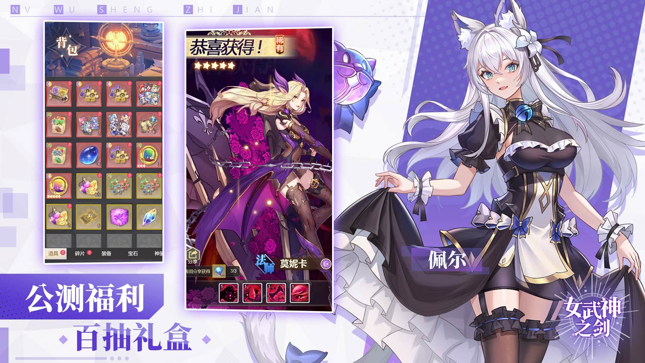 女武神之剑软件封面