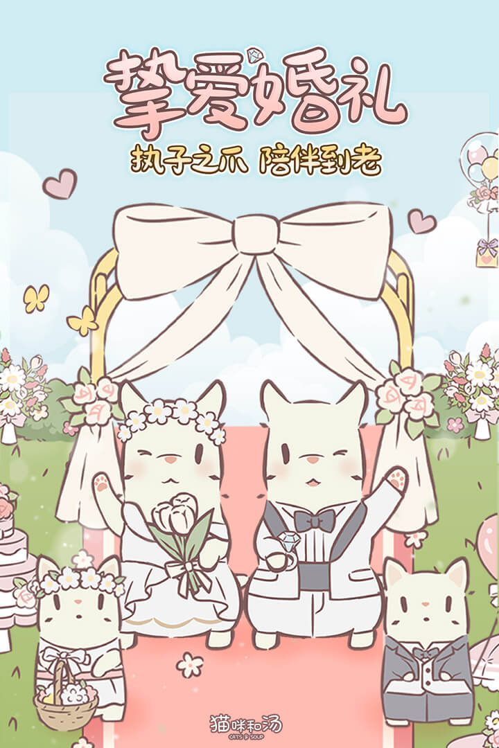 猫咪和汤软件封面